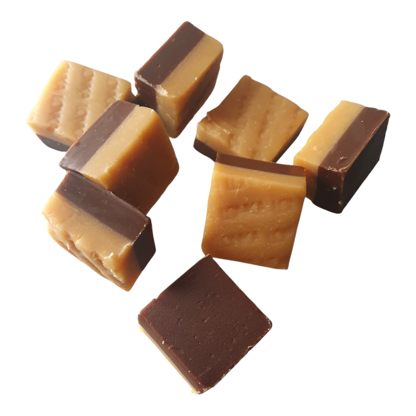 Caramel fudge vanille/chocolat 100g