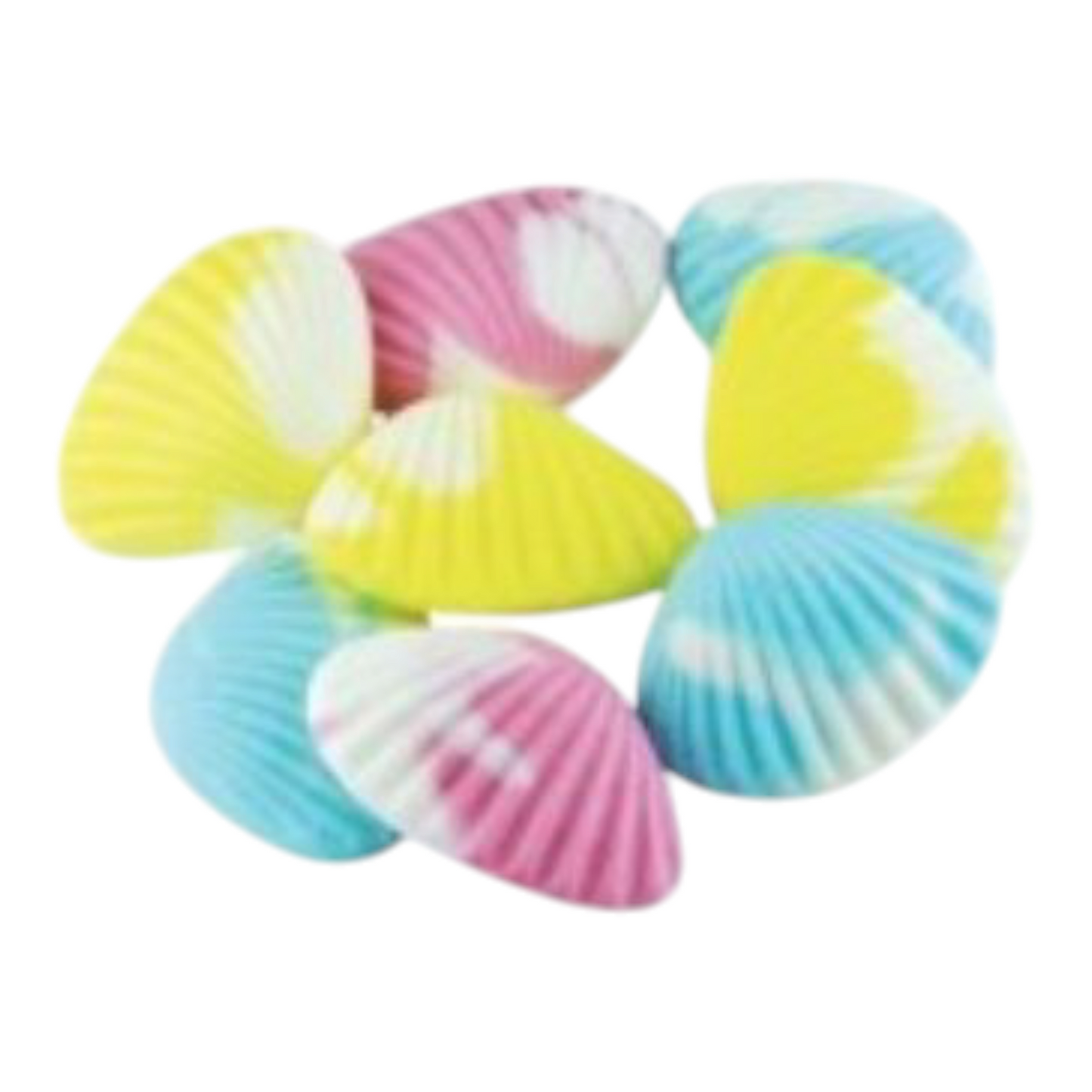 Palourdes 100g